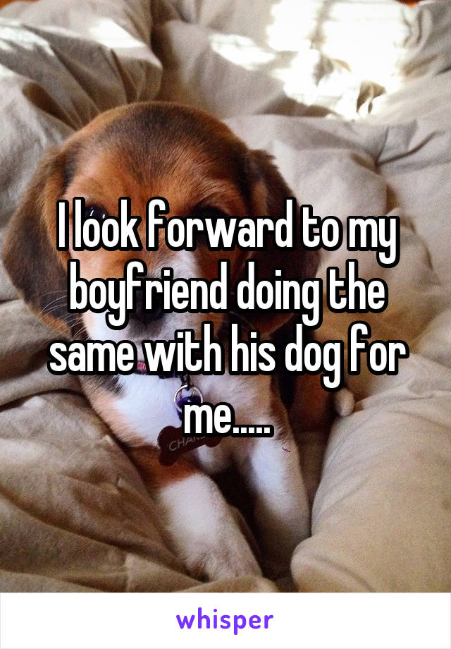 I look forward to my boyfriend doing the same with his dog for me.....