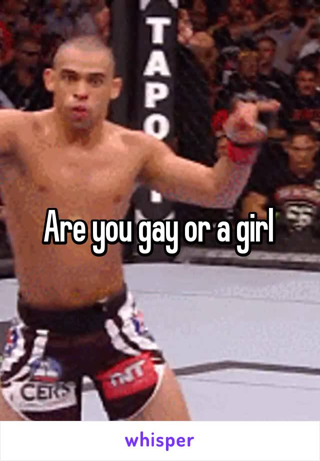 Are you gay or a girl 