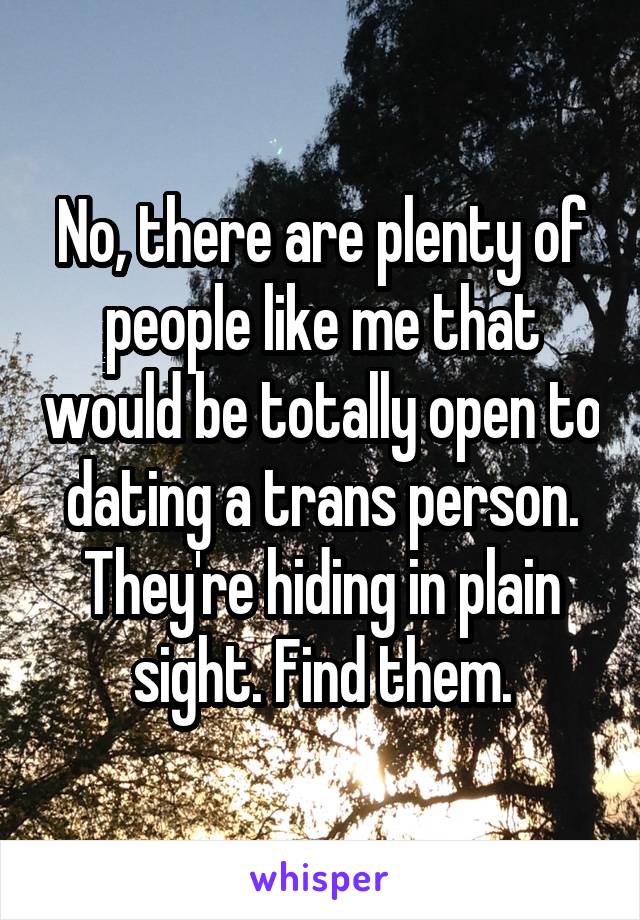 No, there are plenty of people like me that would be totally open to dating a trans person. They're hiding in plain sight. Find them.