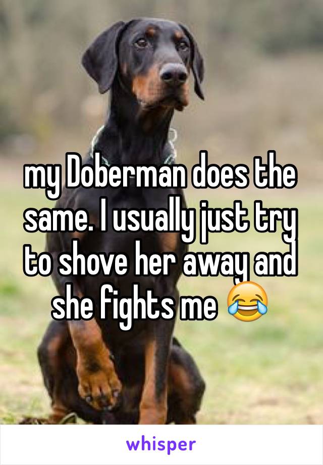 my Doberman does the same. I usually just try to shove her away and she fights me 😂