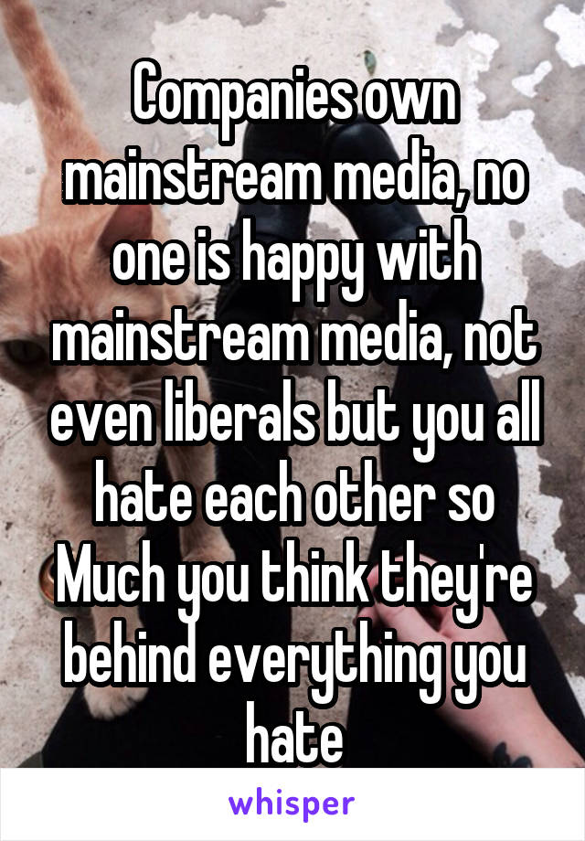 Companies own mainstream media, no one is happy with mainstream media, not even liberals but you all hate each other so
Much you think they're behind everything you hate