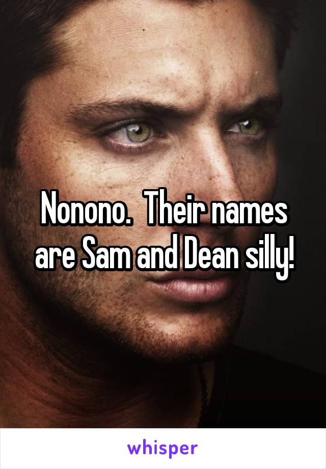 Nonono.  Their names are Sam and Dean silly!