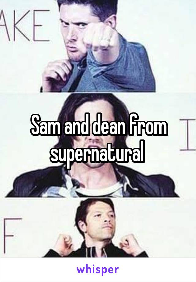 Sam and dean from supernatural 