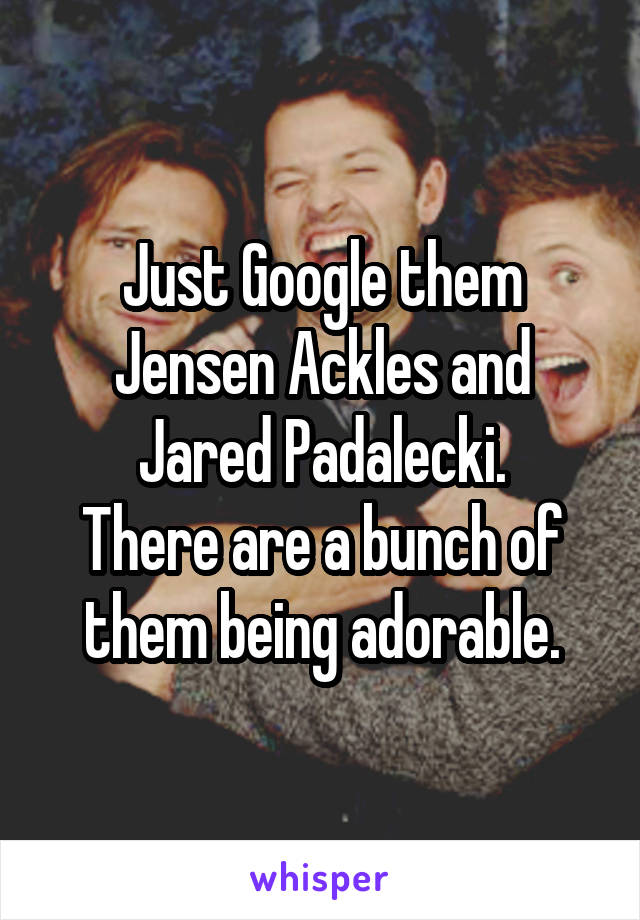 Just Google them Jensen Ackles and Jared Padalecki.
There are a bunch of them being adorable.