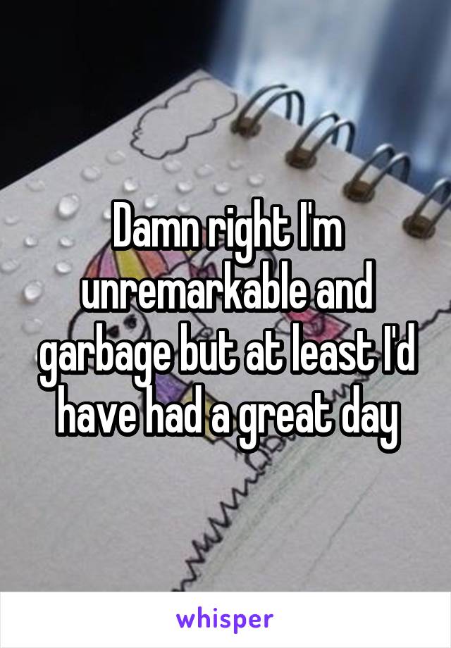 Damn right I'm unremarkable and garbage but at least I'd have had a great day