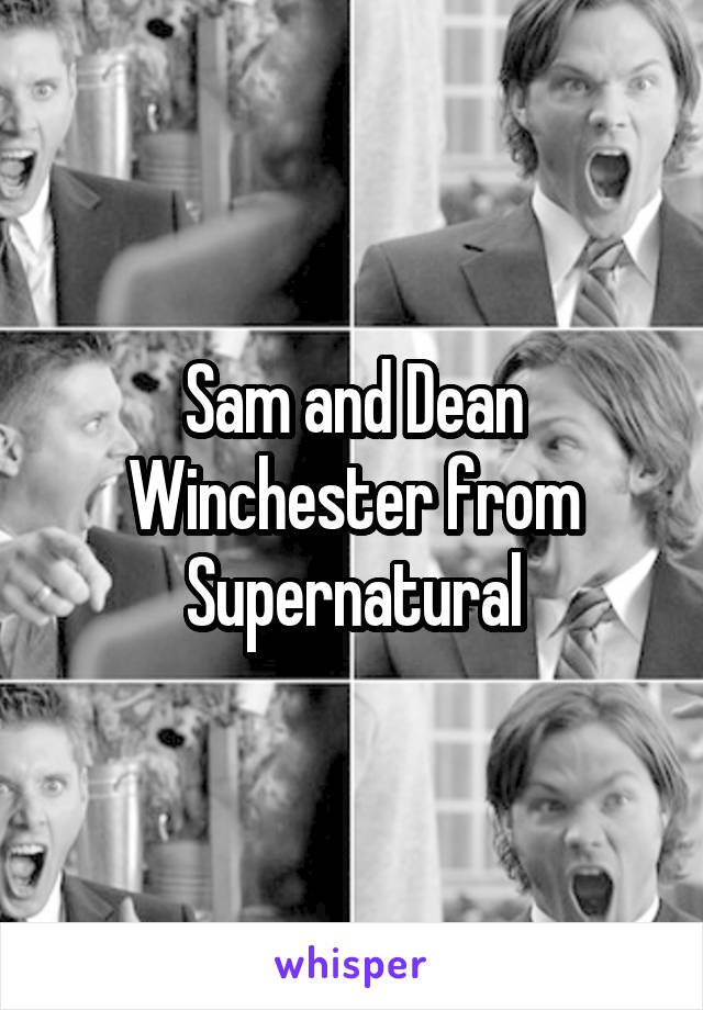 Sam and Dean Winchester from Supernatural