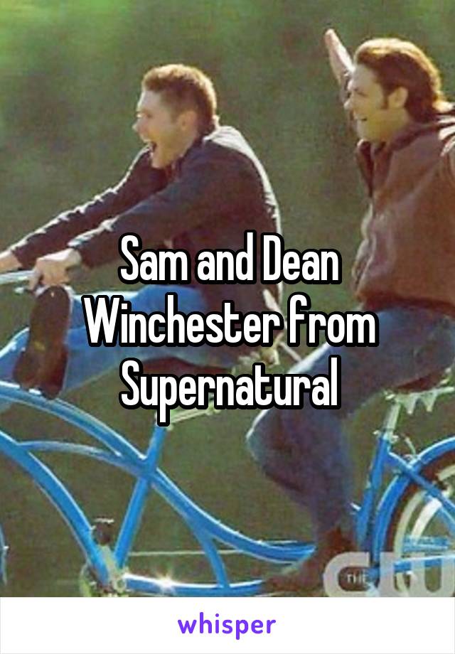 Sam and Dean Winchester from Supernatural