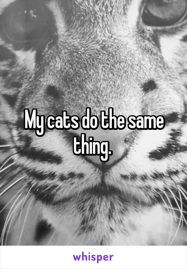My cats do the same thing. 