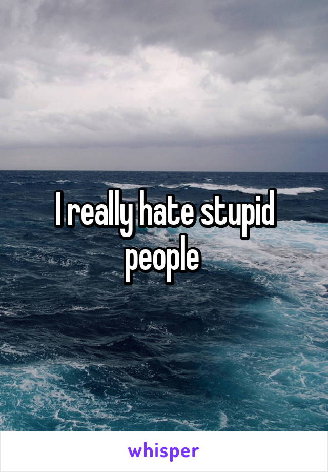 I really hate stupid people 