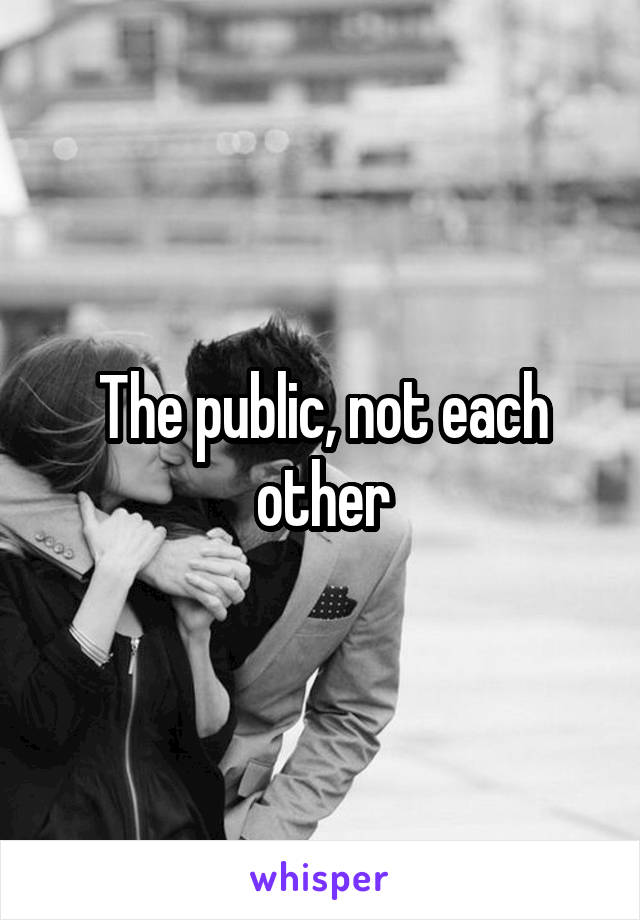 The public, not each other