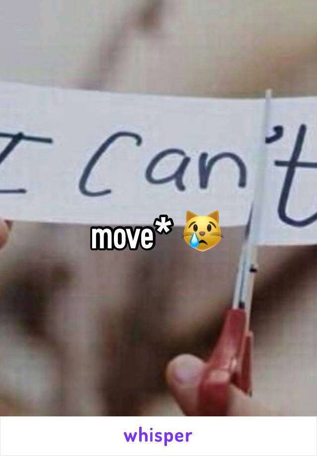 move* 😿