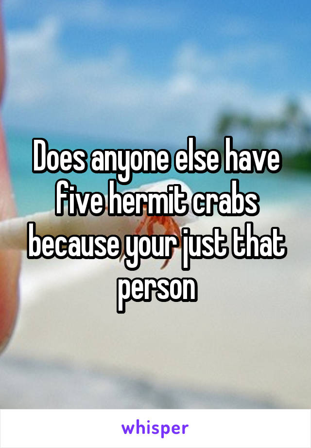 Does anyone else have five hermit crabs because your just that person