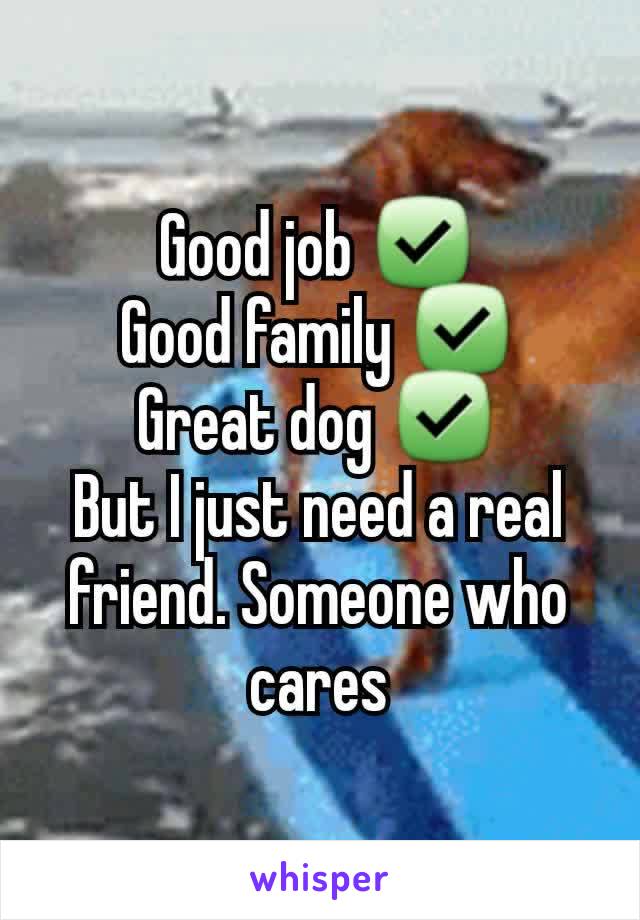 Good job ✅
Good family ✅
Great dog ✅
But I just need a real friend. Someone who cares