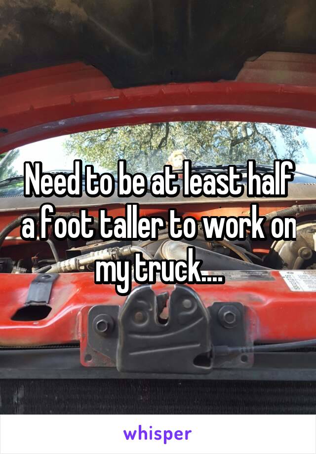 Need to be at least half a foot taller to work on my truck....