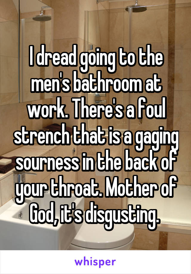 I dread going to the men's bathroom at work. There's a foul strench that is a gaging sourness in the back of your throat. Mother of God, it's disgusting. 
