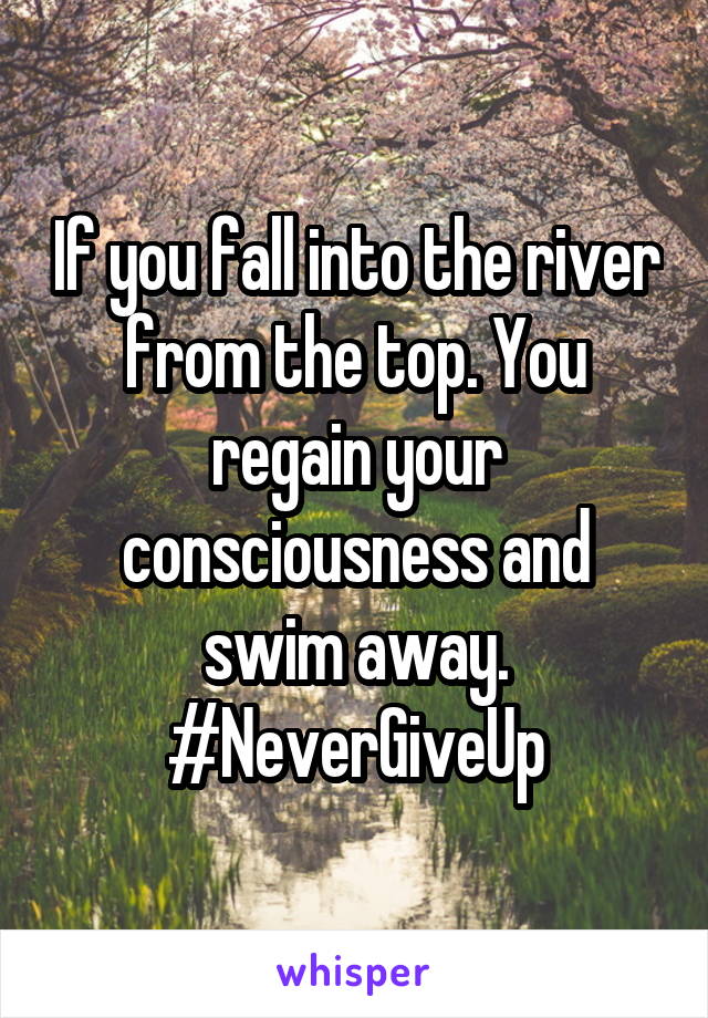 If you fall into the river from the top. You regain your consciousness and swim away. #NeverGiveUp