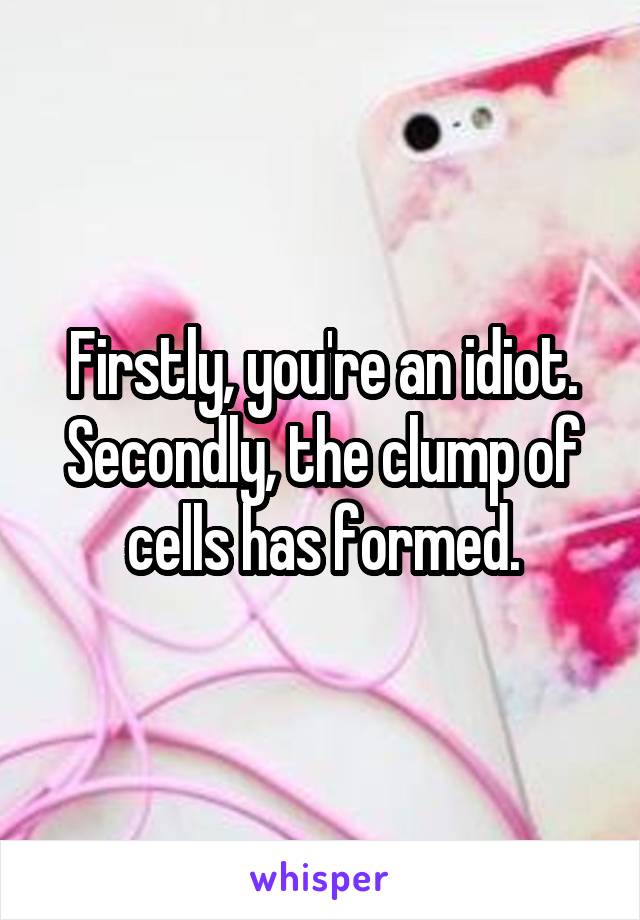 Firstly, you're an idiot.
Secondly, the clump of cells has formed.