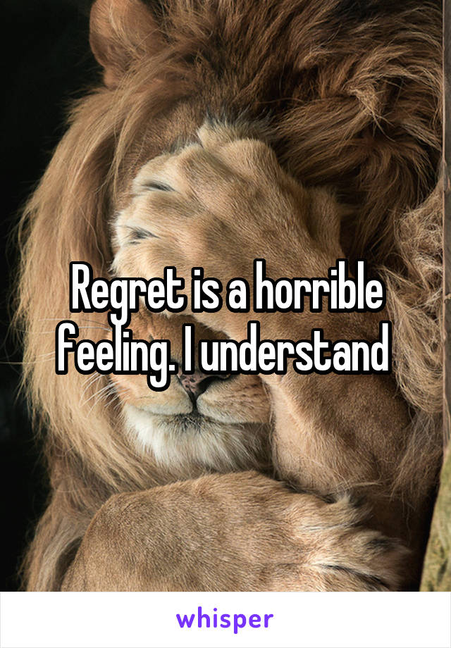 Regret is a horrible feeling. I understand 