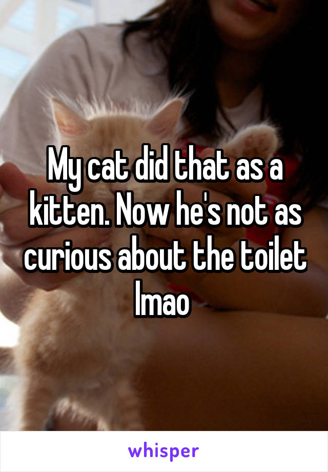 My cat did that as a kitten. Now he's not as curious about the toilet lmao 