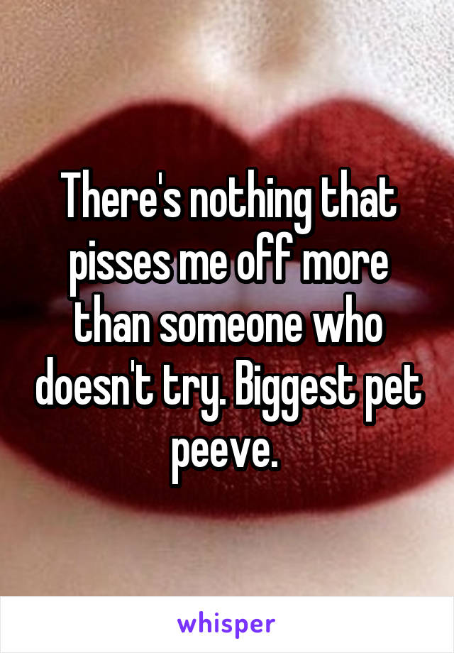 There's nothing that pisses me off more than someone who doesn't try. Biggest pet peeve. 