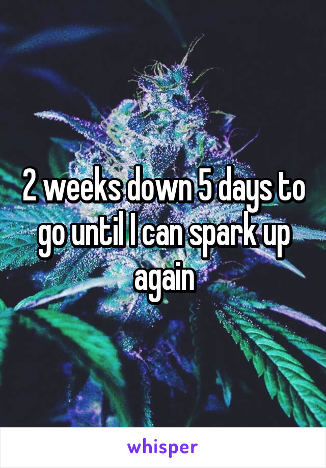 2 weeks down 5 days to go until I can spark up again