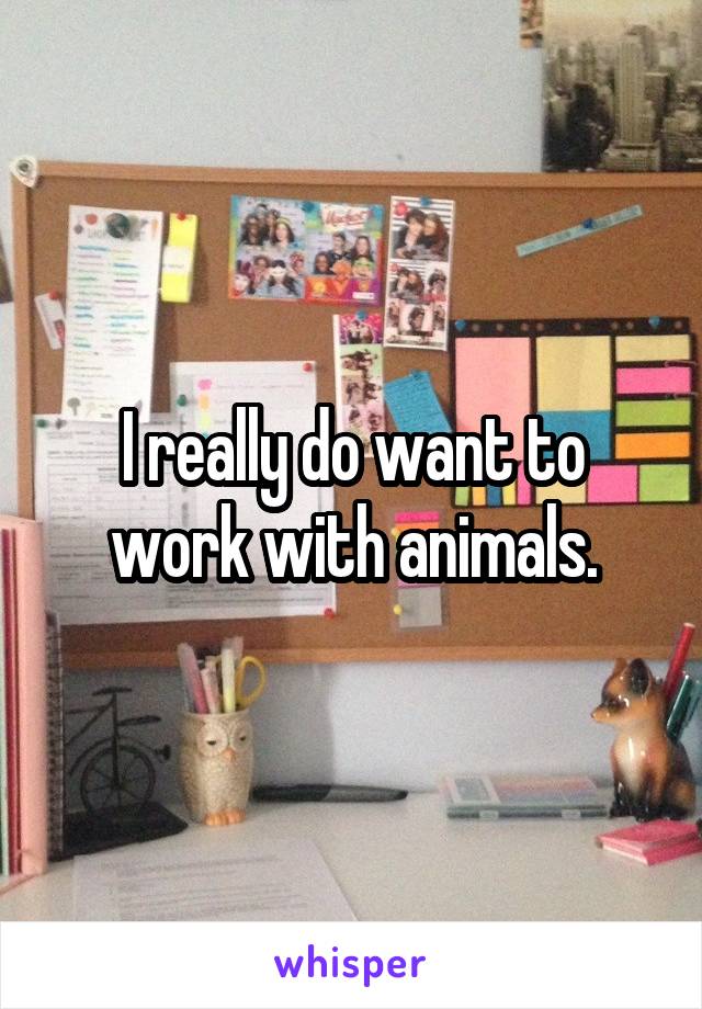 I really do want to work with animals.