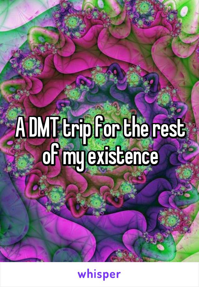 A DMT trip for the rest of my existence