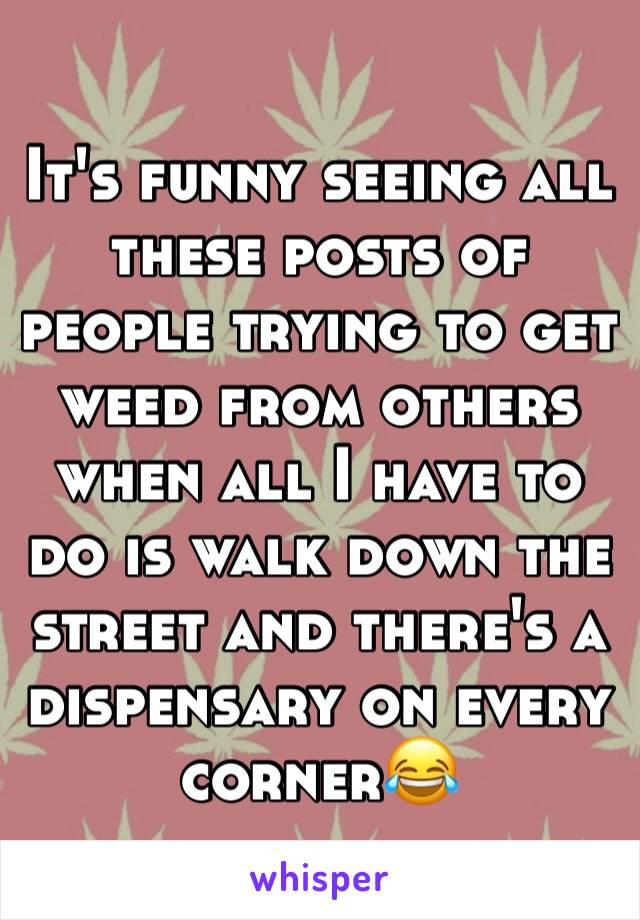 It's funny seeing all these posts of people trying to get weed from others when all I have to do is walk down the street and there's a dispensary on every corner😂