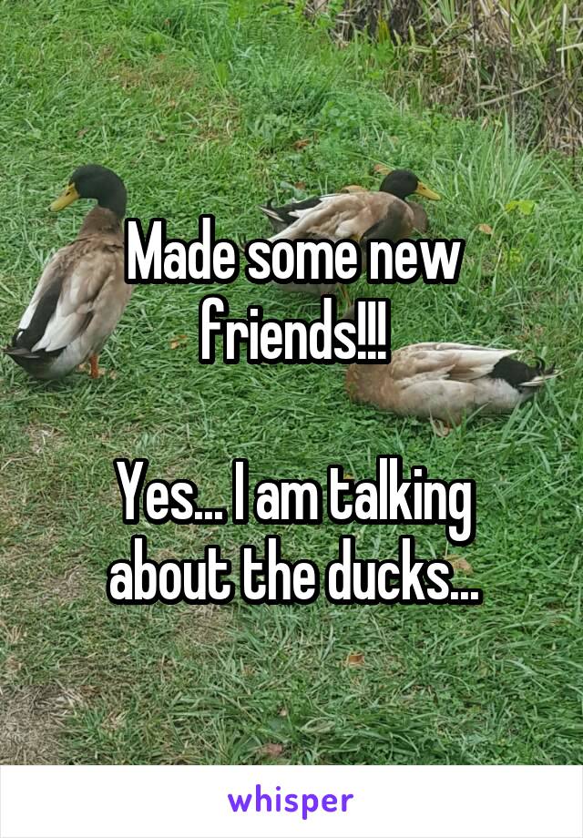 Made some new friends!!!

Yes... I am talking about the ducks...