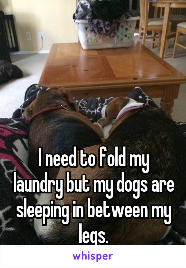 




I need to fold my laundry but my dogs are sleeping in between my legs.