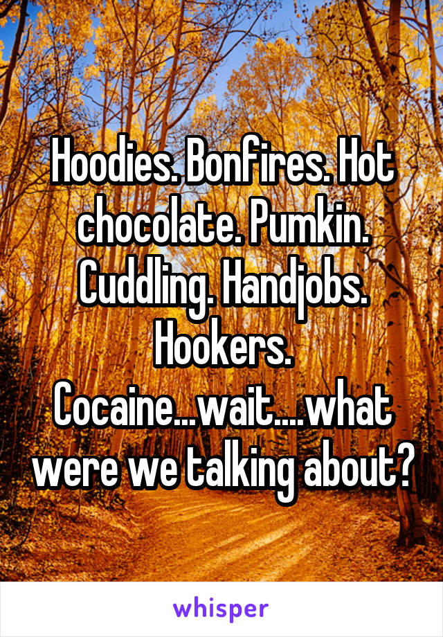 Hoodies. Bonfires. Hot chocolate. Pumkin. Cuddling. Handjobs. Hookers. Cocaine...wait....what were we talking about?