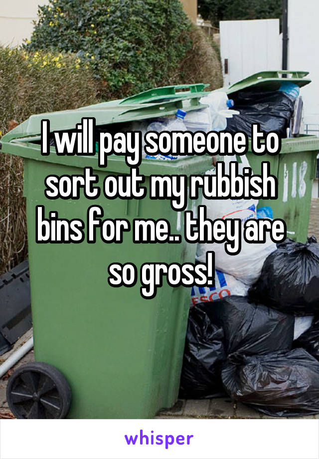 I will pay someone to sort out my rubbish bins for me.. they are so gross!
