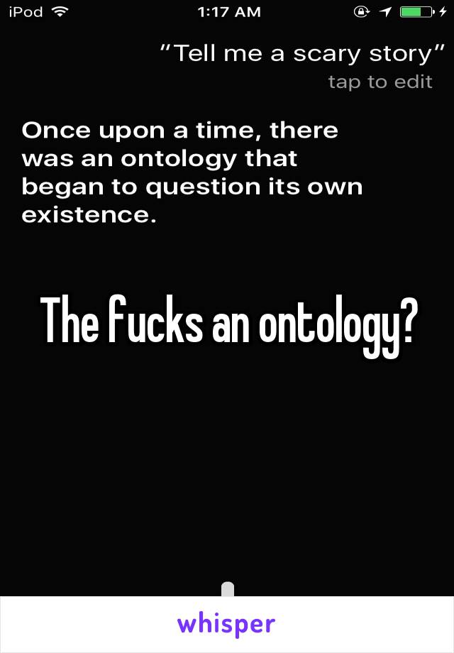 The fucks an ontology?