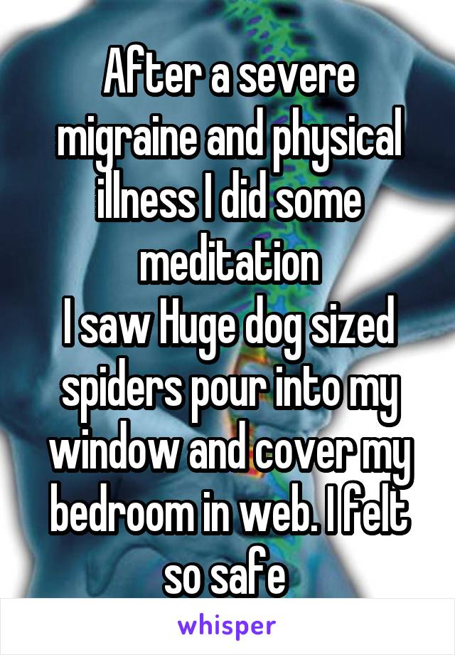 After a severe migraine and physical illness I did some meditation
I saw Huge dog sized spiders pour into my window and cover my bedroom in web. I felt so safe 