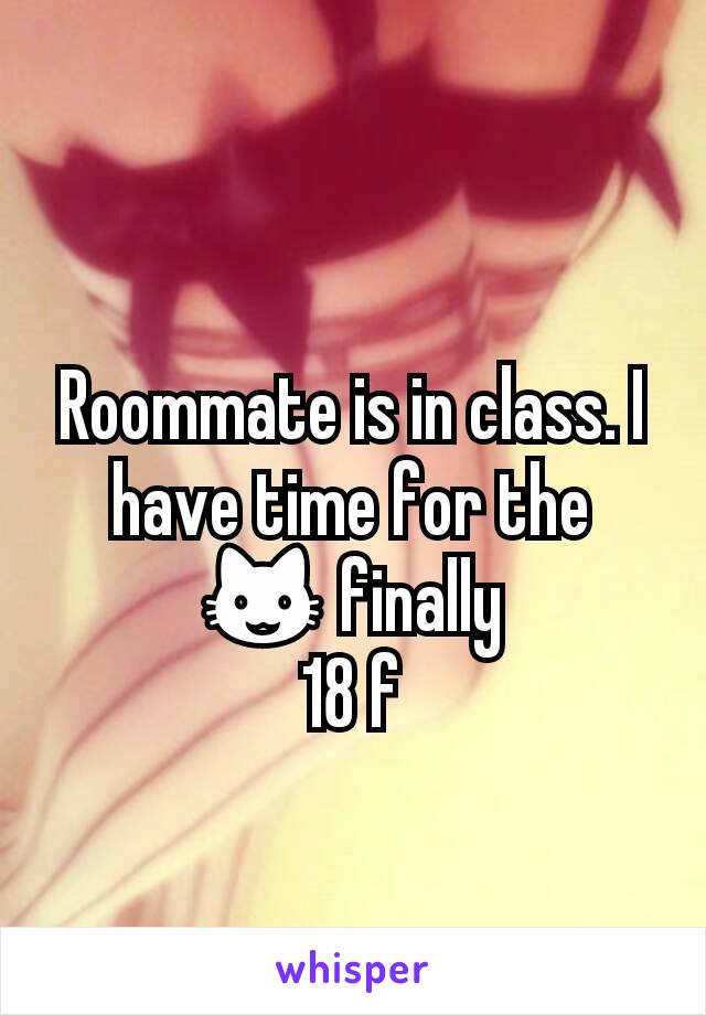 Roommate is in class. I have time for the 😺 finally
18 f
