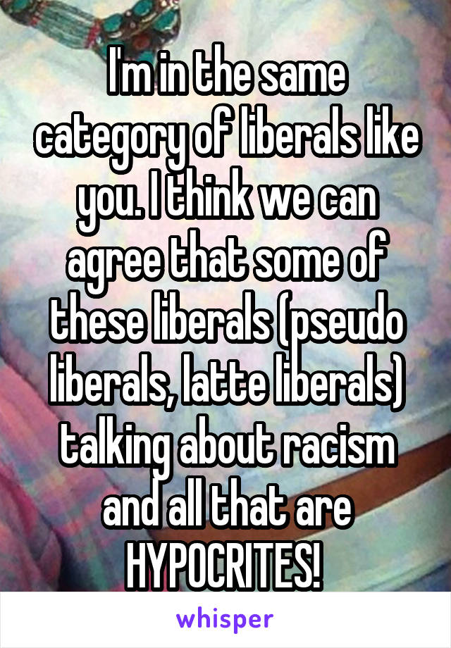 I'm in the same category of liberals like you. I think we can agree that some of these liberals (pseudo liberals, latte liberals) talking about racism and all that are HYPOCRITES! 