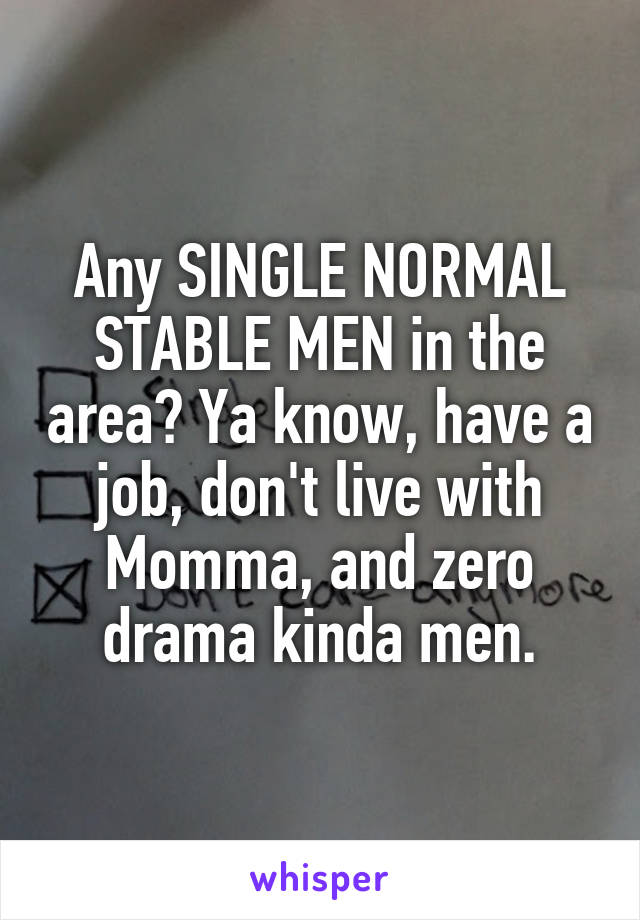 Any SINGLE NORMAL STABLE MEN in the area? Ya know, have a job, don't live with Momma, and zero drama kinda men.