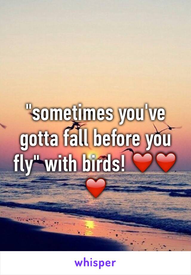 "sometimes you've gotta fall before you fly" with birds! ❤️❤️❤️