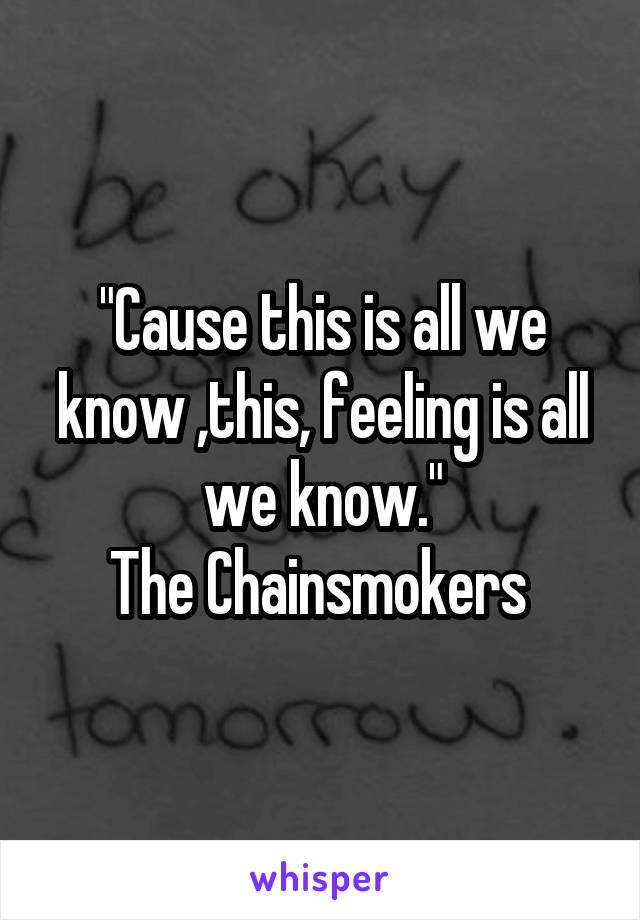 "Cause this is all we know ,this, feeling is all we know."
The Chainsmokers 
