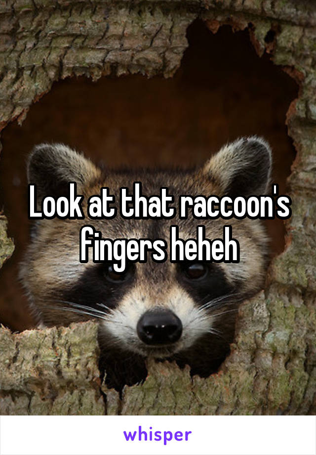Look at that raccoon's fingers heheh