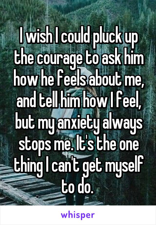 I wish I could pluck up the courage to ask him how he feels about me, and tell him how I feel, but my anxiety always stops me. It's the one thing I can't get myself to do. 