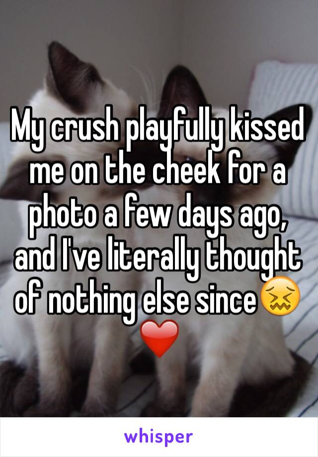 My crush playfully kissed me on the cheek for a photo a few days ago, and I've literally thought of nothing else since😖❤️