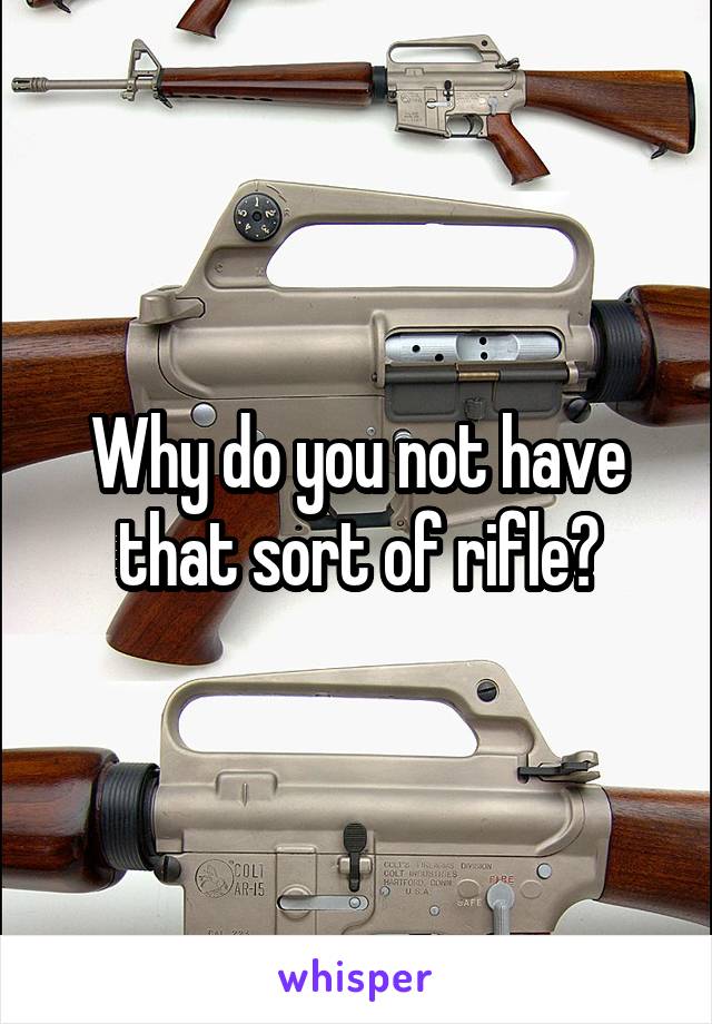 Why do you not have that sort of rifle?