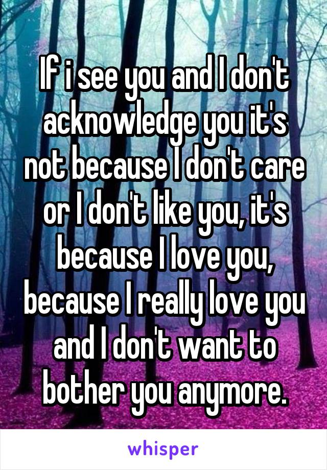 If i see you and I don't acknowledge you it's not because I don't care or I don't like you, it's because I love you, because I really love you and I don't want to bother you anymore.
