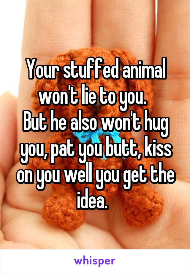 Your stuffed animal won't lie to you.  
But he also won't hug you, pat you butt, kiss on you well you get the idea.  