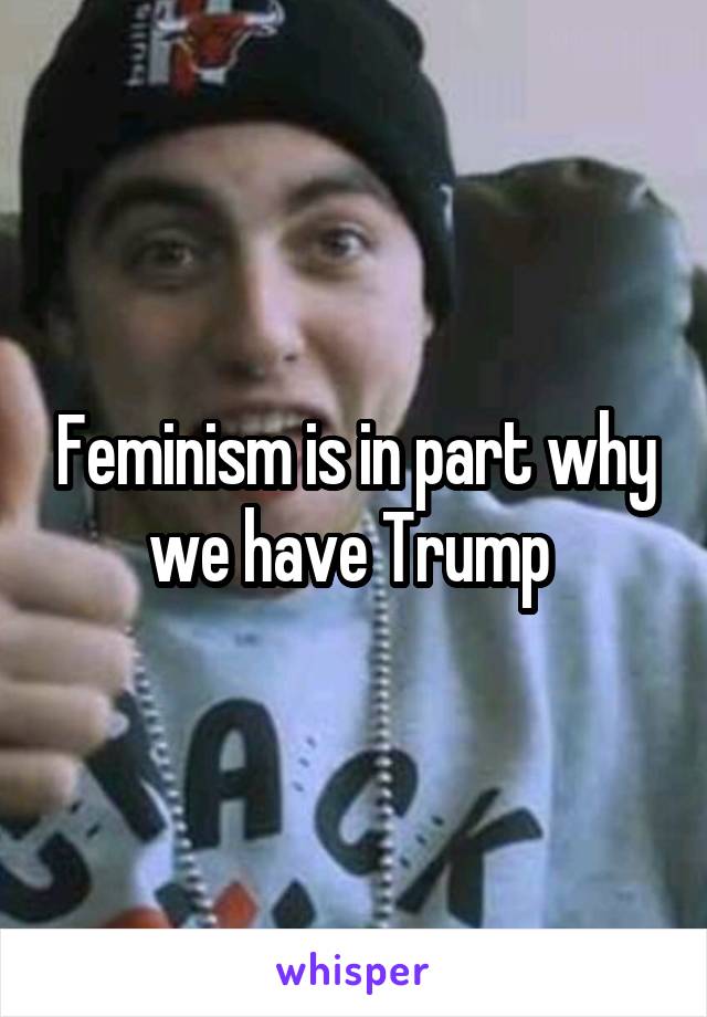 Feminism is in part why we have Trump 