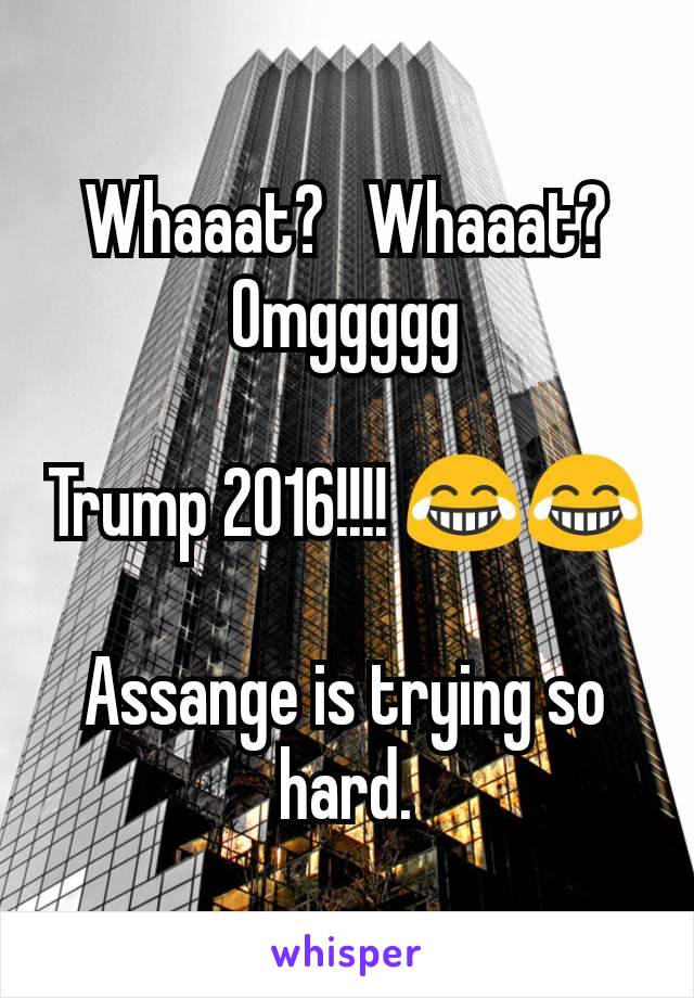Whaaat?   Whaaat?  Omggggg

Trump 2016!!!! 😂😂

Assange is trying so hard.