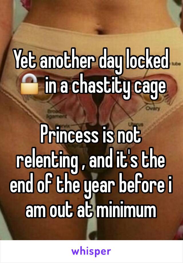 Yet another day locked 🔒 in a chastity cage 

Princess is not relenting , and it's the end of the year before i am out at minimum 