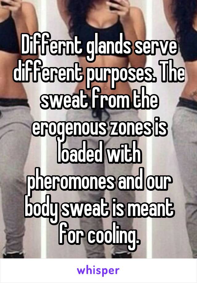 Differnt glands serve different purposes. The sweat from the erogenous zones is loaded with pheromones and our body sweat is meant for cooling.