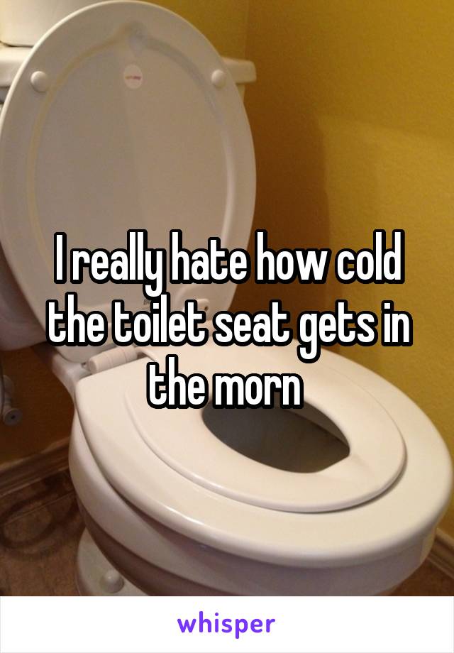 I really hate how cold the toilet seat gets in the morn 